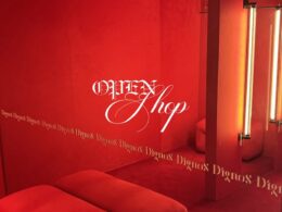 OPEN SHOP. Come visit us Lunes a Miércoles — Only by Appointment Jueves a Sábados — Open 15 a 20 hs. Costa Rica 5179, Palermo Soho. www.dignosofficial.com
