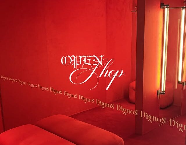 OPEN SHOP. Come visit us Lunes a Miércoles — Only by Appointment Jueves a Sábados — Open 15 a 20 hs. Costa Rica 5179, Palermo Soho. www.dignosofficial.com